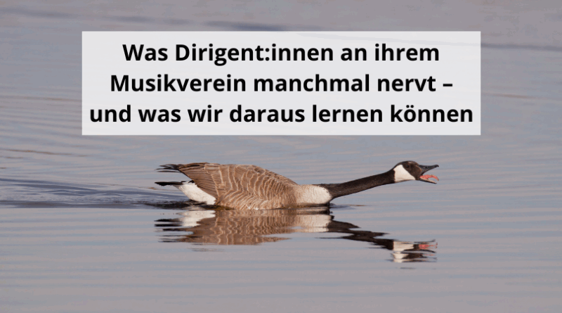 Was Dirigent:innen an ihrem Musikverein manchmal nervt – und was wir daraus lernen können