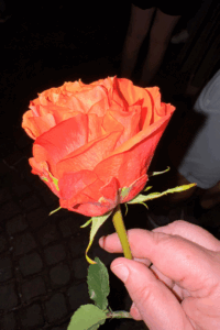 Innsbrucker Promenadenkonzerte